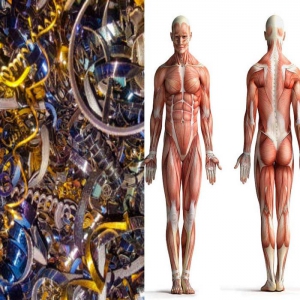 نقش فلزات مختلف در سلامتی انسان